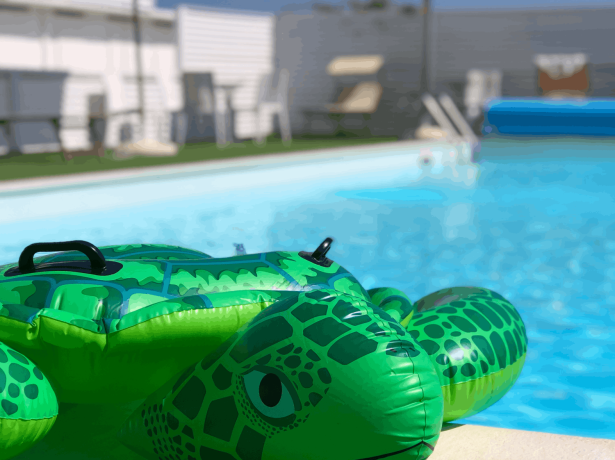 Piscina con gonfiabile a forma di tartaruga sotto il sole.
